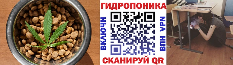 Купить где  Биробиджан  Canna-Cookies конопля 