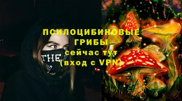 гашик Богородицк