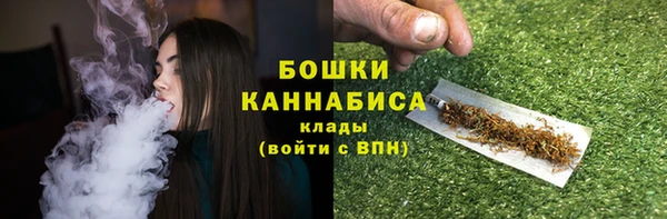 мдпв Богданович