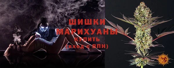мдпв Богданович