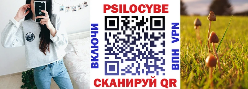 Псилоцибиновые грибы Psilocybine cubensis  Купить где  Биробиджан 